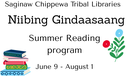 website banner Niibing Gindaasaang Summer Reading program.png